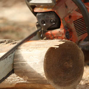 chainsaw cutting fire wood